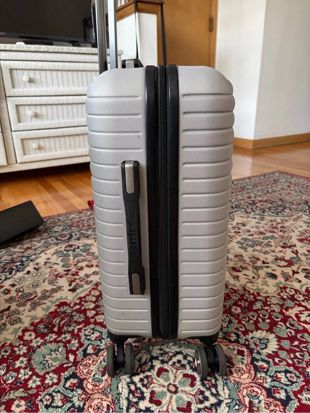 Delsey Paris 20” Carry-On Hardside Spinner Luggage – Silver/Gray